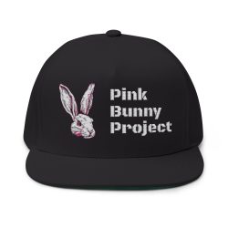 Flat Bill Cap (Embroidery)